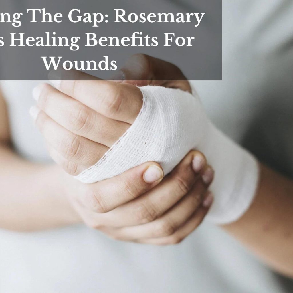 Closing The Gap: Rosemary Oil’s Healing Benefits For Wounds