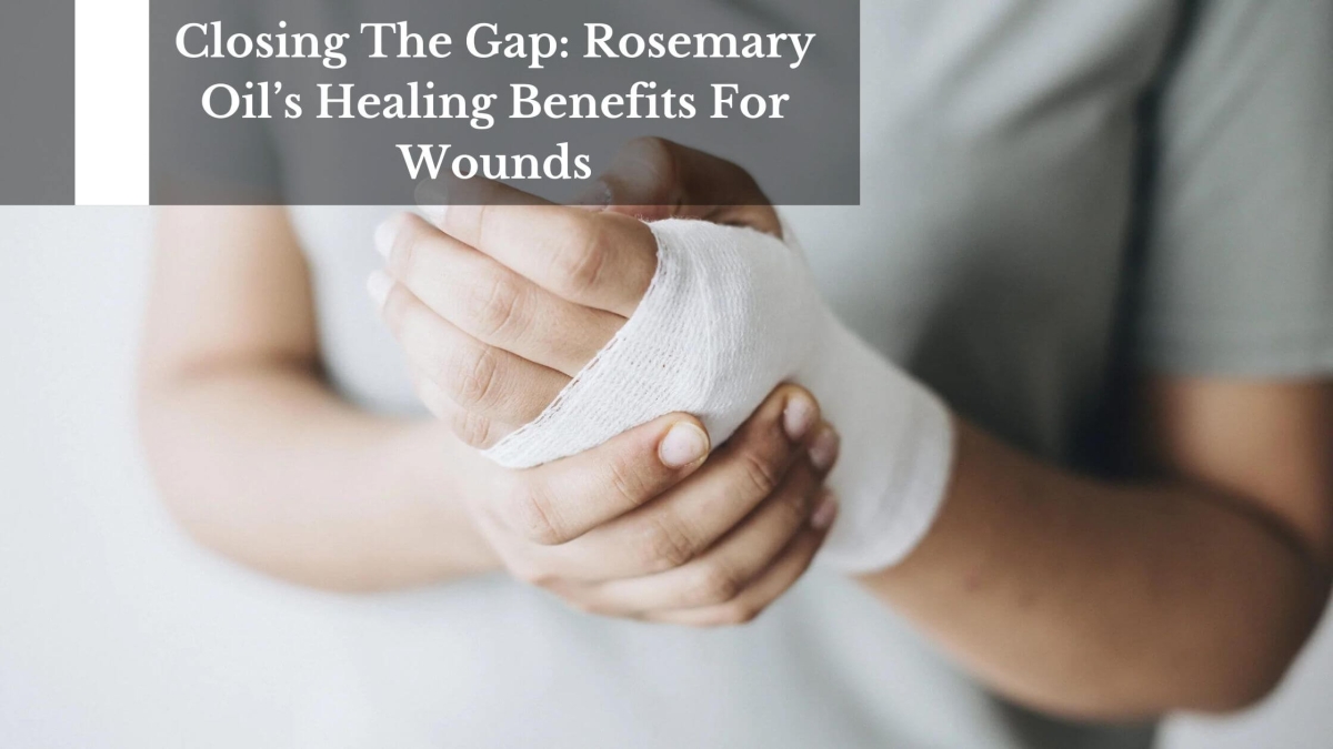 Closing-The-Gap-Rosemary-Oils-Healing-Benefits-For-Wounds-1
