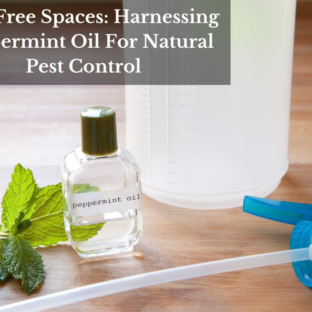 Pest-Free Spaces: Harnessing Peppermint Oil For Natural Pest Control
