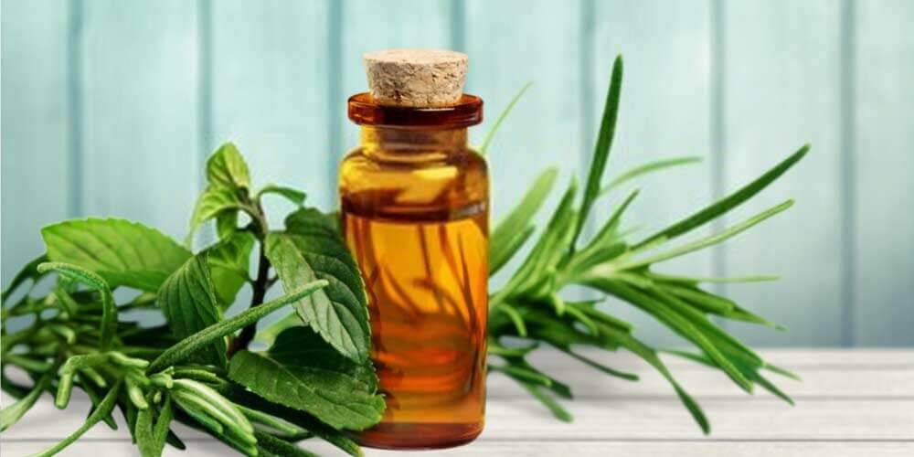 How To Use Peppermint Oil For Ear Infections?
