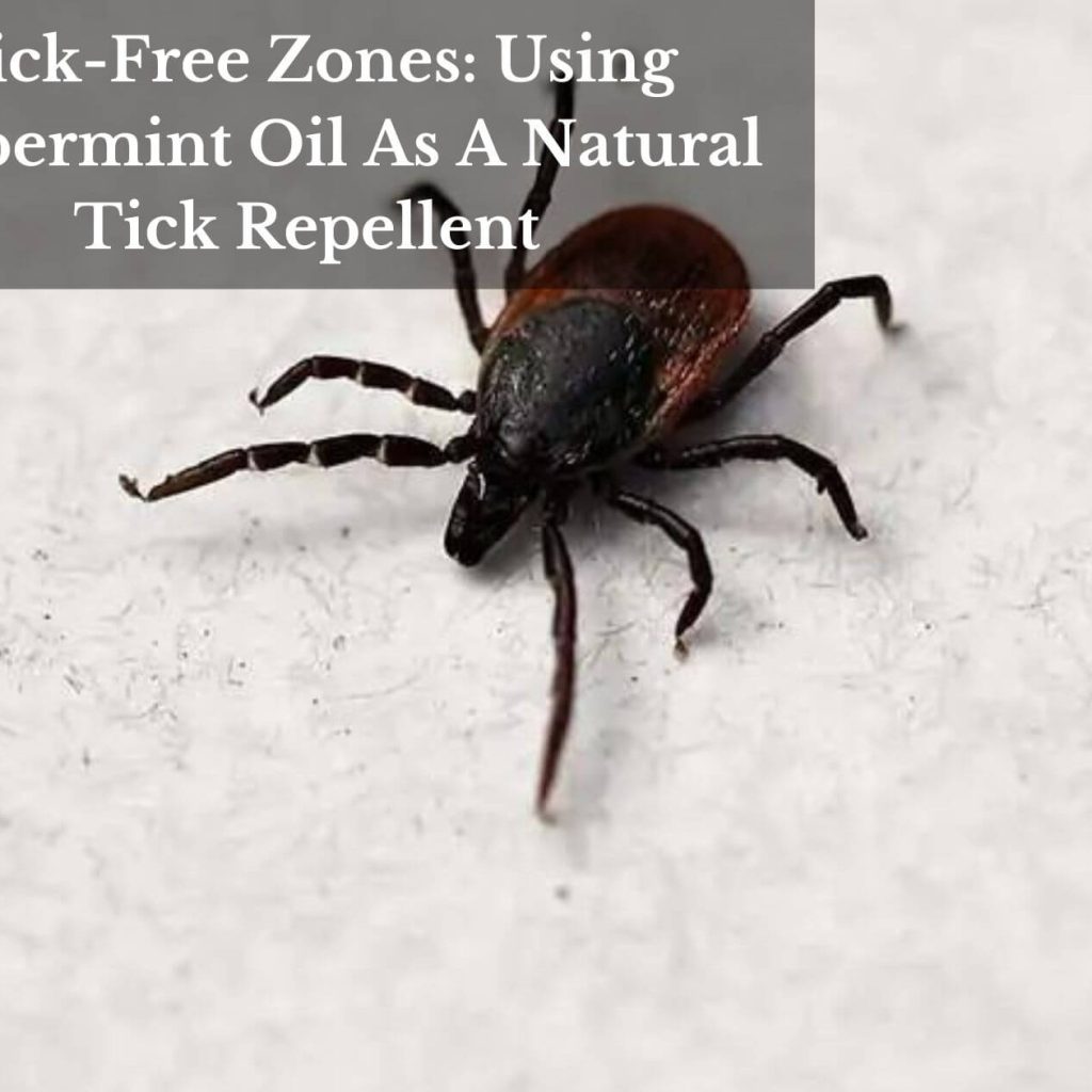 Tick-Free Zones: Using Peppermint Oil As A Natural Tick Repellent