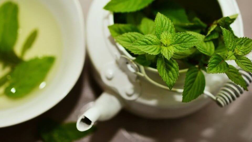 How To Use Peppermint Oil For Esophageal Spasms?