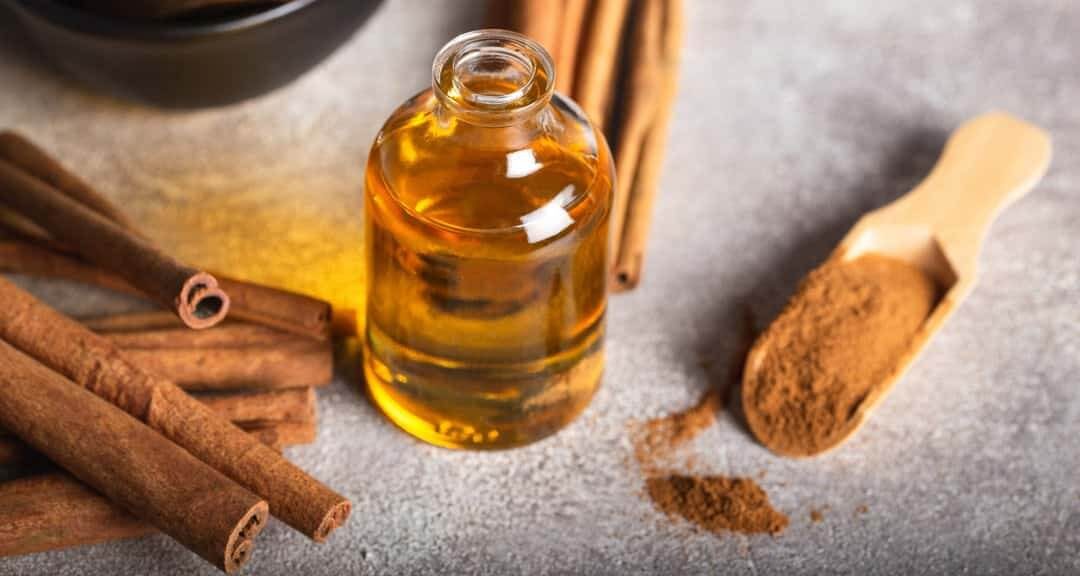 How To Use Cinnamon Oil For Mice?