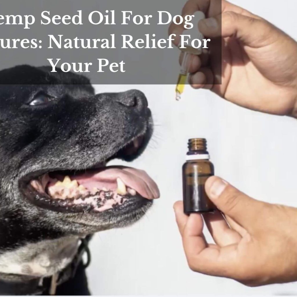 Hemp Seed Oil For Dog Seizures: Natural Relief For Your Pet