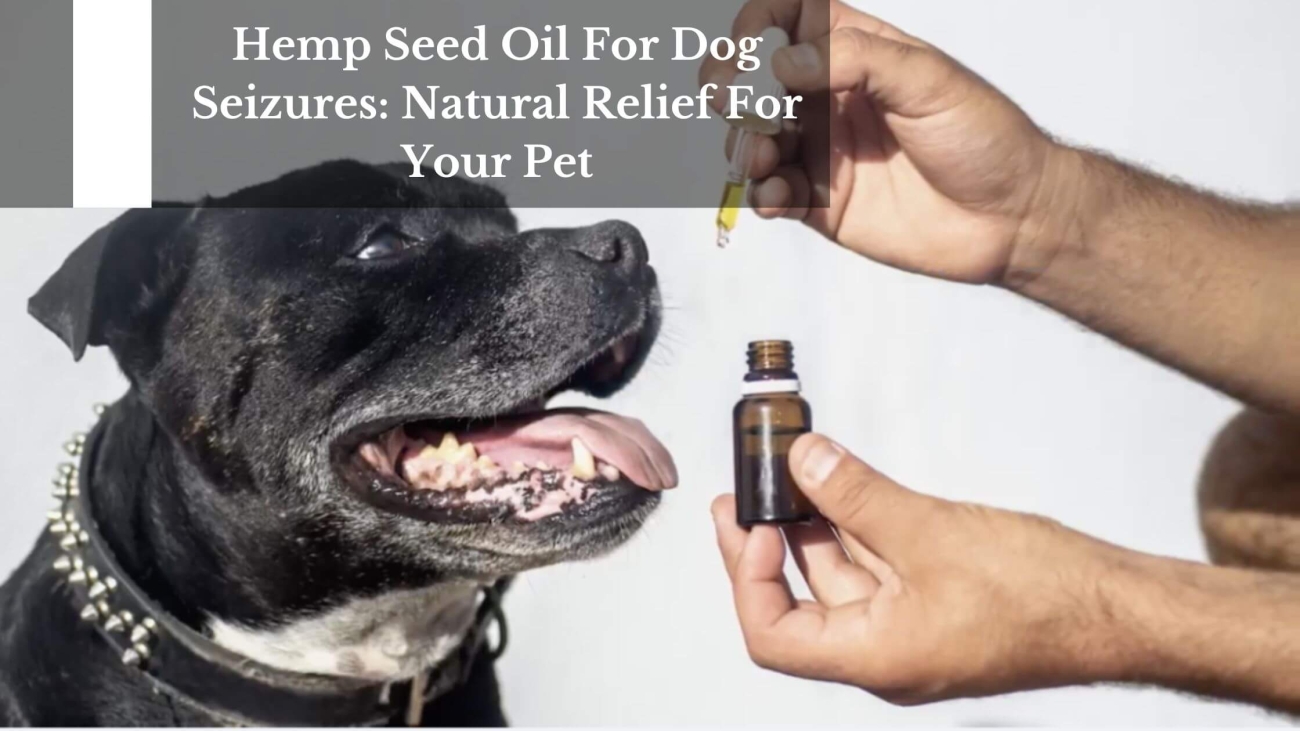 Hemp Seed Oil For Dogs (1)