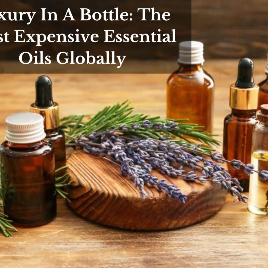 Luxury In A Bottle: The Most Expensive Essential Oils Globally