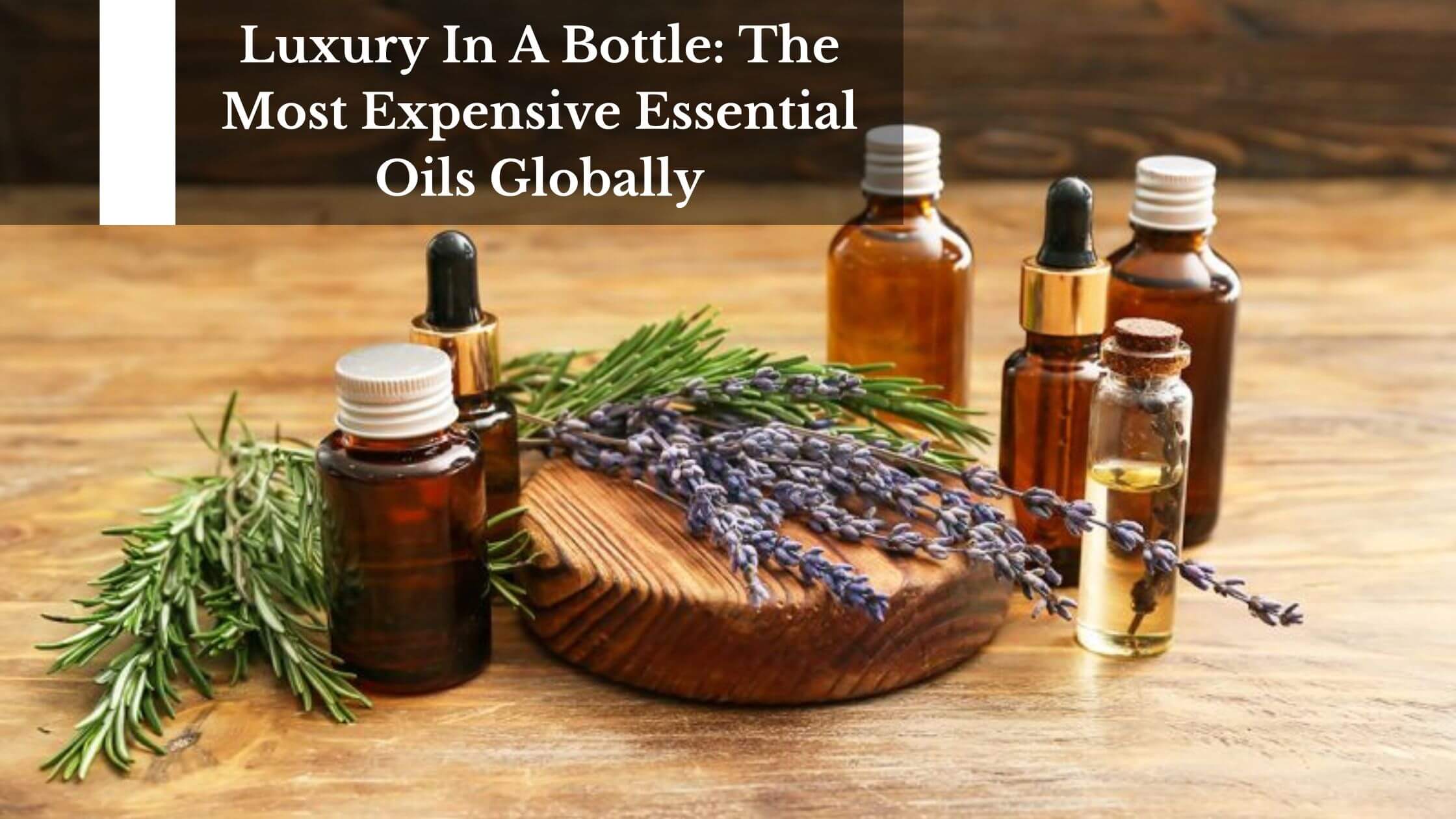 Luxury In A Bottle: The Most Expensive Essential Oils Globally