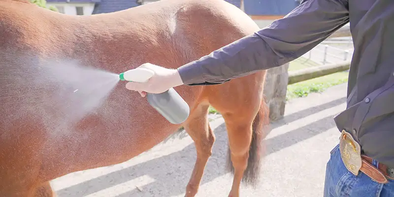 Neem Oil For Horse Hair