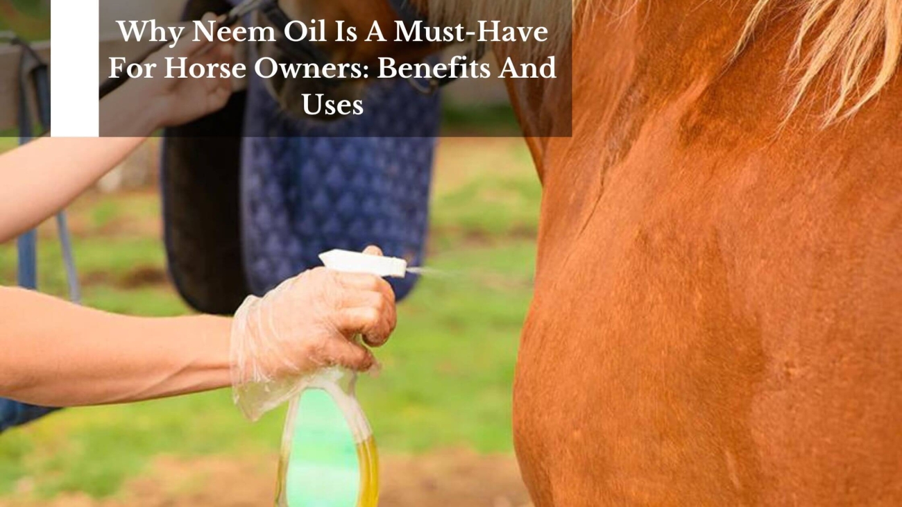 Neem Oil For Horses (1)