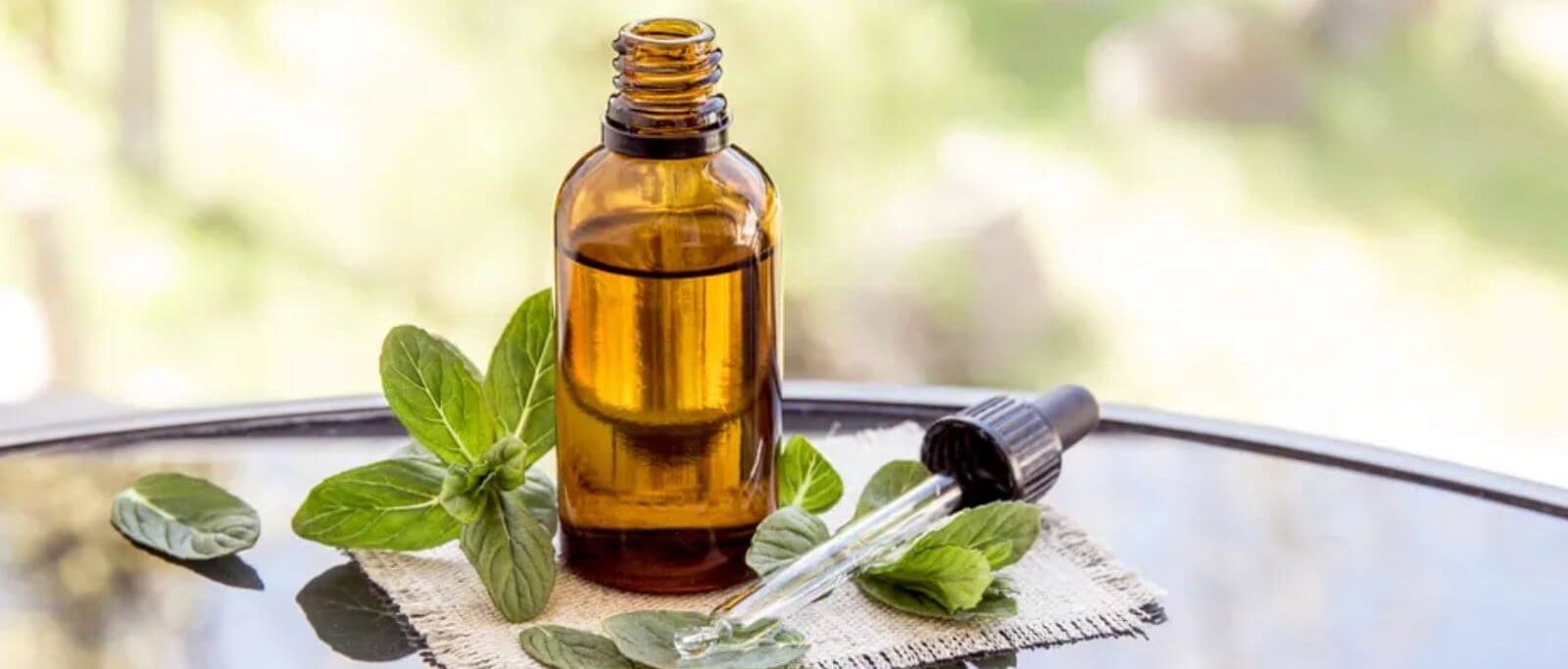 How To Use Tea Tree Oil For Mice?