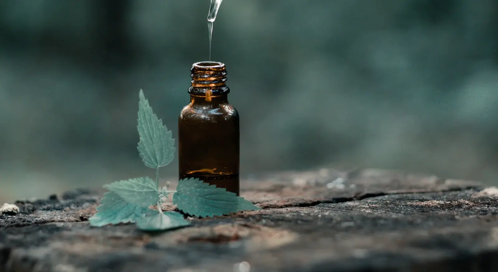 Common Myths About The Internal Use Of Essential Oil