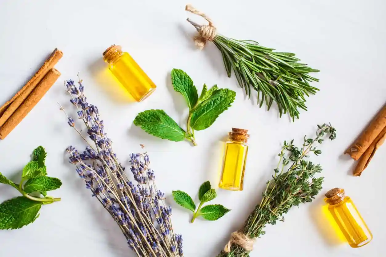 How To Use Essential Oils For Appetite Suppression?