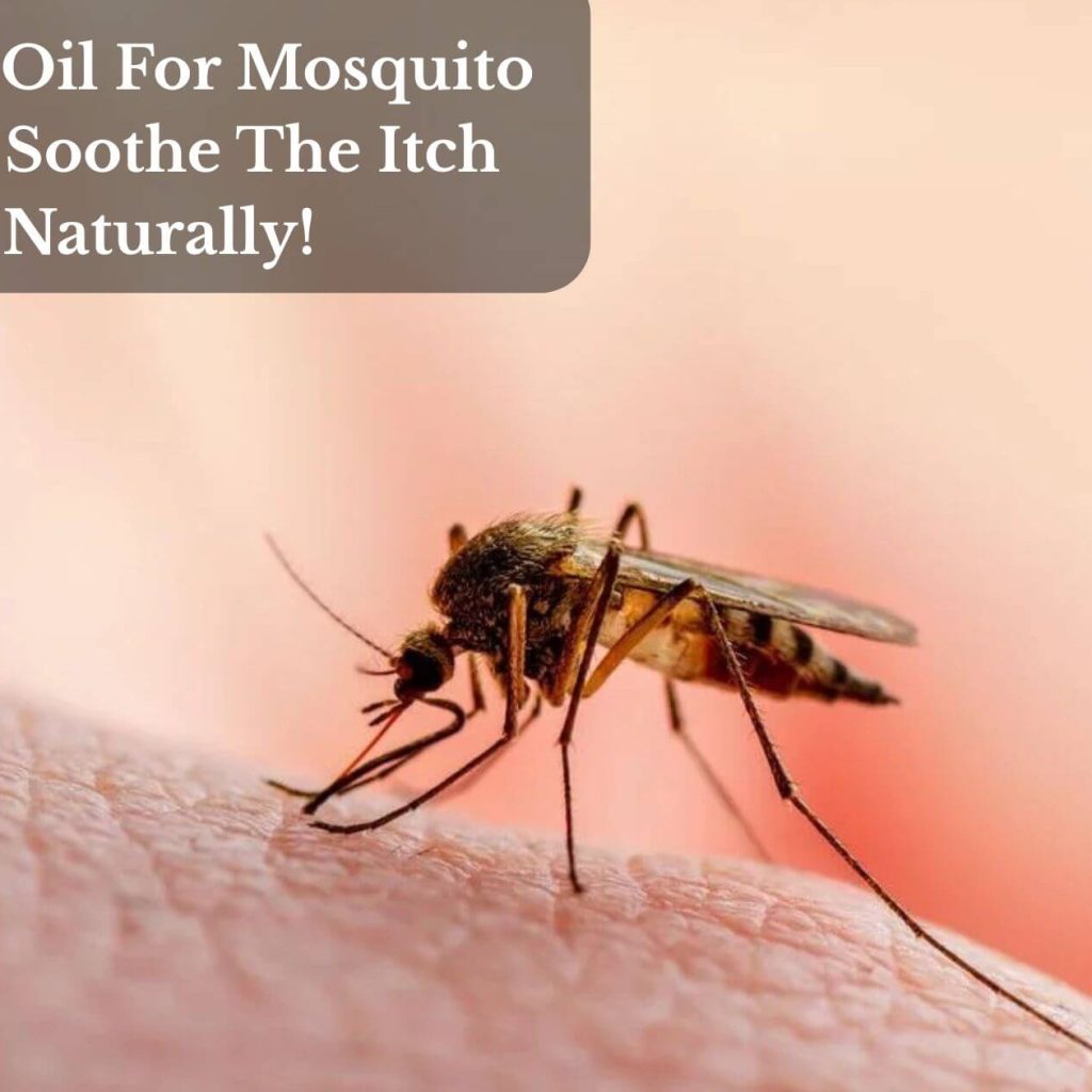 Castor Oil For Mosquito Bites: Soothe The Itch Naturally!