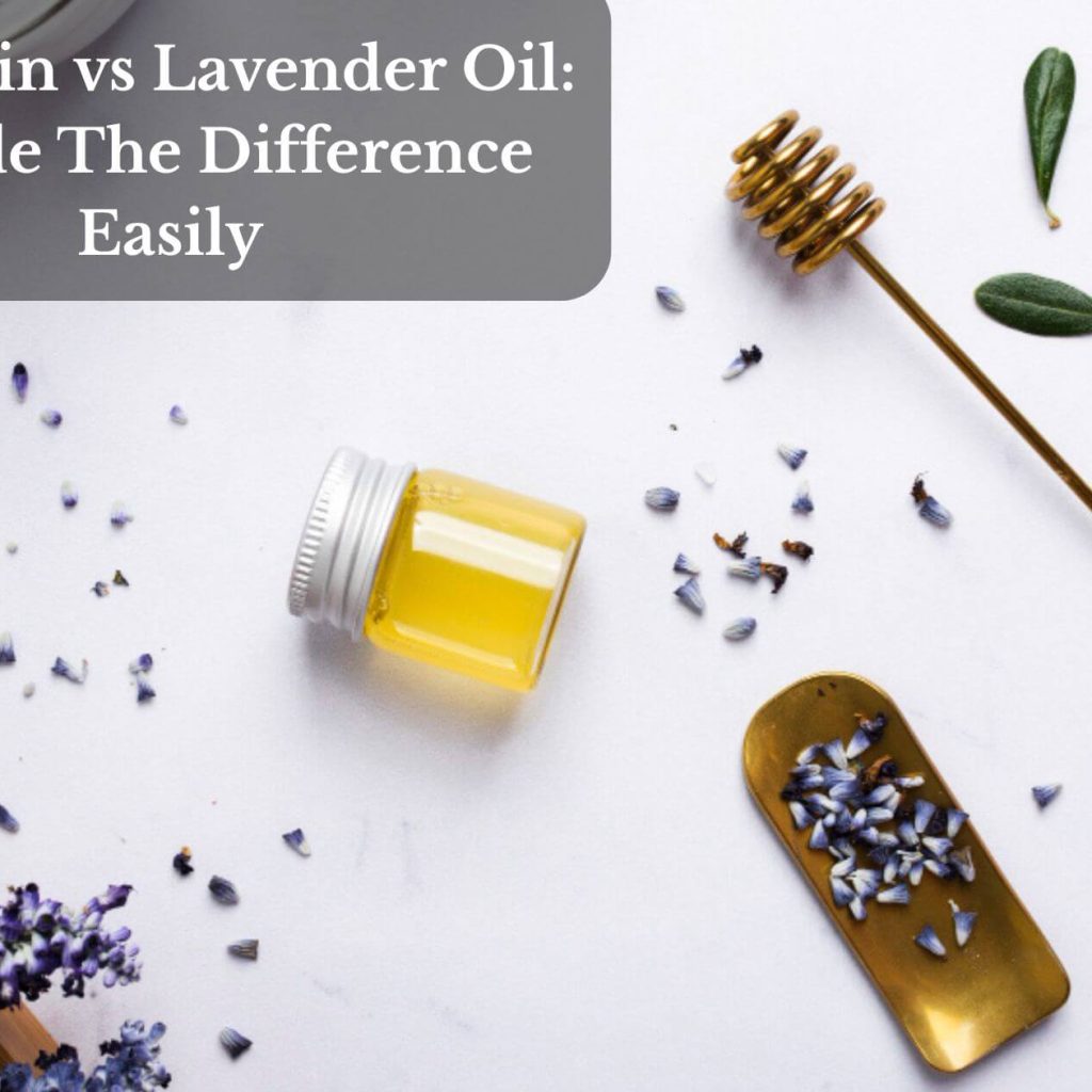 Lavandin vs Lavender Oil: Decode The Difference Easily