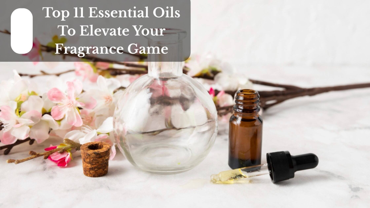 Top 11 Essential Oils To Elevate Your Fragrance Game (1)