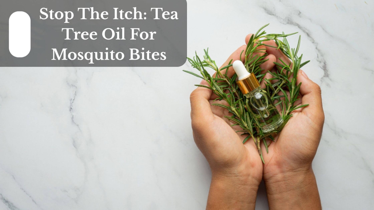 Stop The Itch Tea Tree Oil For Mosquito Bites (1)